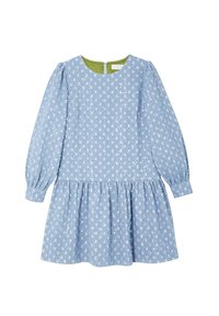 Robe bleu clair à manches longues avec motif floral argenté, jupe froncée, manches à revers, encolure ronde avec fermeture éclair arrière et doublure intérieure verte.
