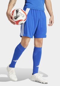 Blå tröja och shorts med vita accenter, blå strumpor och vita fotbollsskor. Håller en fotboll med röd och svart detalj.