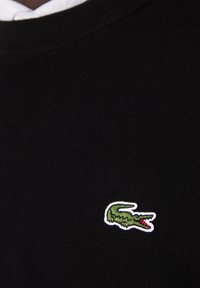 Maglione di cotone nero con logo di coccodrillo verde circondato da un cerchio bianco sul petto, collo a girocollo ribassato e tessuto testurizzato.