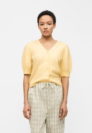 Ženska, oblečena v bledo rumen kratkoročni gumbasti kardigan in svetlo zelene karirane hlače z vrvico, stoji ob navadni beli ozadju.