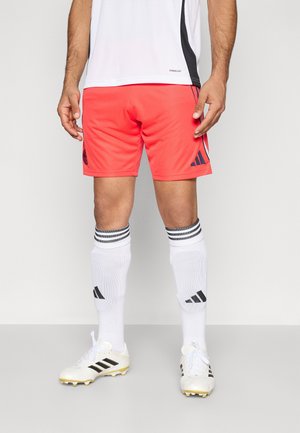 FC BAYERN TRAINING SHORTS - Ρούχα για κλαμπ - red