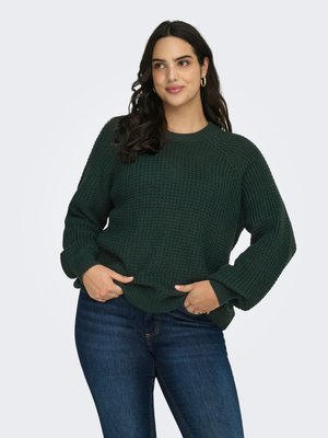 ONLY Carmakoma Trui - scarab