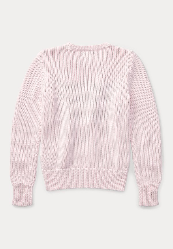 FLAG COTTON CREWNECK JUMPER - Jumper2