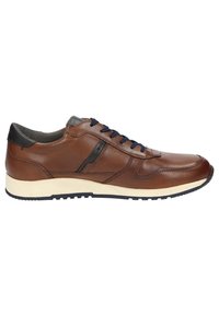 Sioux Sneaker low - cognac - Zalando.ch