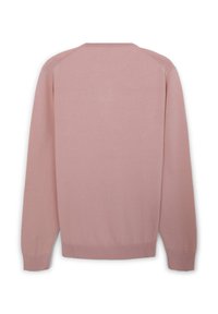 Hellrosa gestrickter Pullover mit langen Ärmeln, rundem Halsausschnitt und gerippten Bündchen sowie Saum. Glatte Textur und nahtlose Raglanärmel.