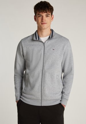 REG  ZIP THRU EXT - Sudadera con cremallera - grey htr