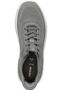 Sneaker grigio in rete con punta arrotondata, design con lacci e suola in gomma. Presenta una soletta nera con logo dorato all'interno.