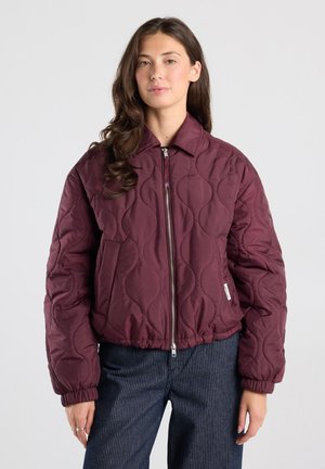 America Today, JACKET - Winter jacket - bordeaux