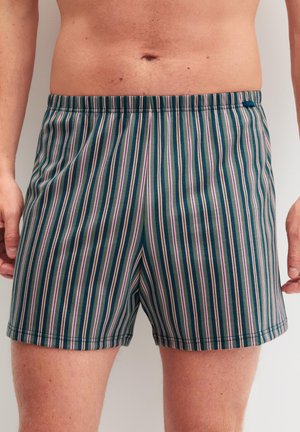 Mannelijke torso met groene boxershorts met verticale roze en blauwe strepen, staand met armen ontspannen langs het lichaam tegen een effen achtergrond.