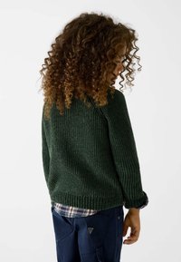 Maglione verde lavorato a maglia con texture a coste, scollo rotondo e vestibilità casual, indossato sopra una camicia scozzese. Pantaloni scuri visibili in vita.