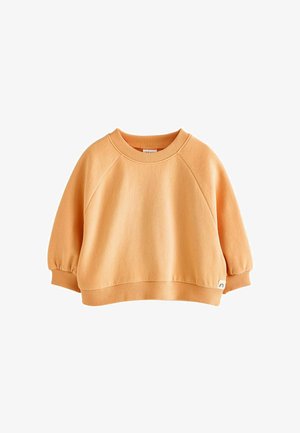 Oranje sweatshirt met een ronde hals, raglanmouwen, geribde zoom en manchetten, gemaakt van zachte stof, met een klein logo aan de onderkant.