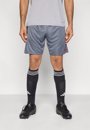 TIRO 26 ESSENTIALS SHORTS - Pantalón corto de deporte - onix/light onix/semi lucid red