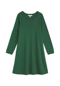 Langärmliges, grünes Strickkleid mit Rundhalsausschnitt und subtilen vertikalen Nahtdetails in der Mitte vorne.