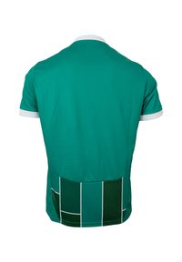 Grünes Sporttrikot mit weißem Kragen, das ein kariertes Muster in dunkleren Grüntönen im unteren Rückenbereich aufweist. Glattes, leichtes Material.