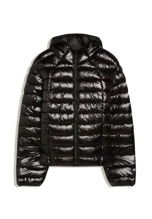 Schwarze glänzende Steppjacke mit horizontaler Steppung, Frontreißverschluss, langen Ärmeln und angesetzter Kapuze, flach auf weißem Hintergrund liegend.