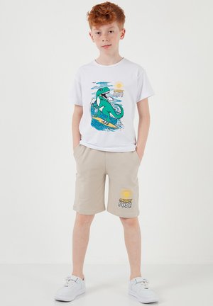 Punaste juustega poiss, kellel on valged tennised, beežid lühikesed püksid ja valge t-särk, millel on roheline dinosauruse pilt surfamas ja tekst "Gnarly Dude".