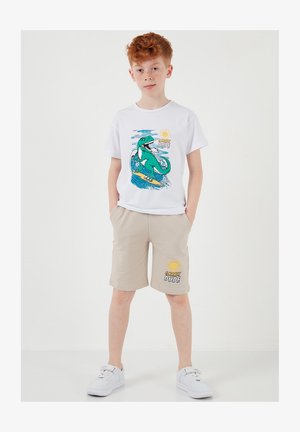 Chlapec s červenými vlasmi, obutý v bielych teniskách, béžových šortkách a bielom tričku s potlačou zeleného dinosaura surfujúceho a nápisom „Gnarly Dude“.