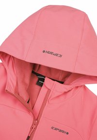 Roze jack met een fleece-gevoerde capuchon, volledige rits en logo-details. Glad buitenmateriaal met nauwkeurige stiksels en sterke naden.