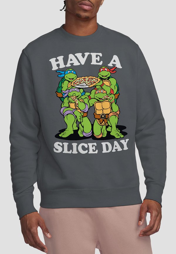 TEENAGE MUTANT NINJA TURTLES HAVE A SLICE DAY - Sweatshirt - anthracite