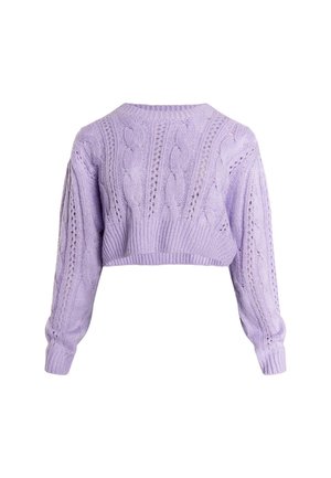Lila lyhyt neulepaita, jossa on palmikkoneulekuvio, pitkät hihat ja resorit. Valmistettu teksturoidusta neulemateriaalista, jossa on aukkoja.