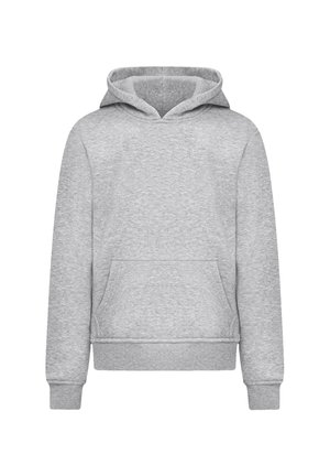 ESCAPE DISCOVER THE WORLD ASIAN TOWN - Hoodie - heather grey