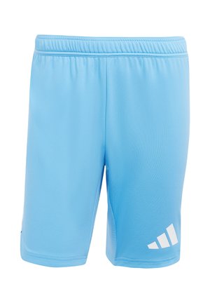 Lichtblauwe sportshorts van een soepele, lichtgewicht stof. Voorzien van een elastische tailleband en witte logo-accenten.