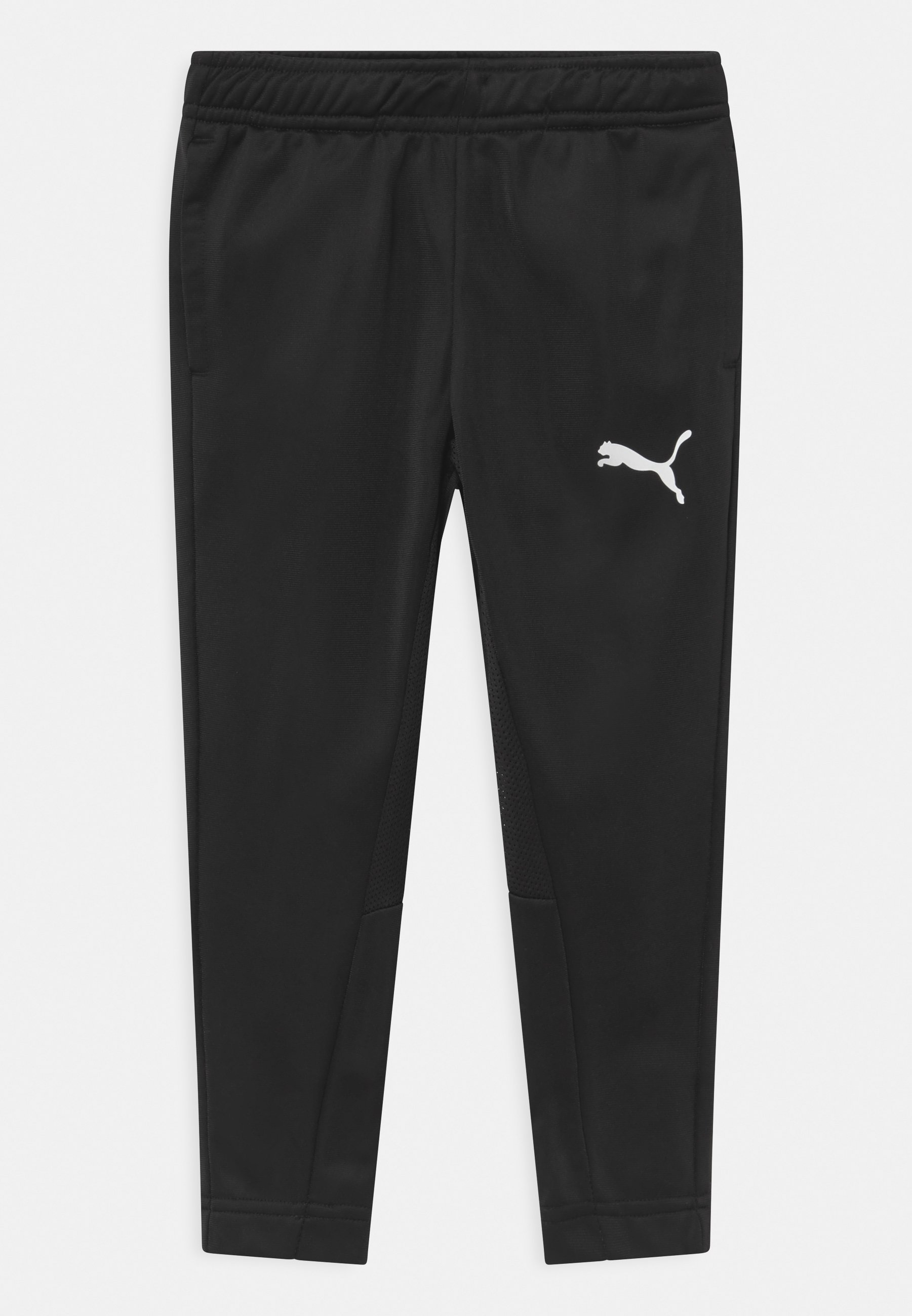 puma ftblplay tracksuit