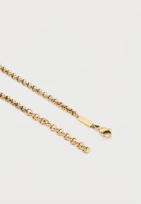 Κολιέ με αλυσίδα σε χρυσό τόνο με στρογγυλεμένους κρίκους, που διαθέτει κούμπωμα σε σχήμα αστακού και ένα μικρό ορθογώνιο ταμπελάκι με χαραγμένο το "LACOSTE".