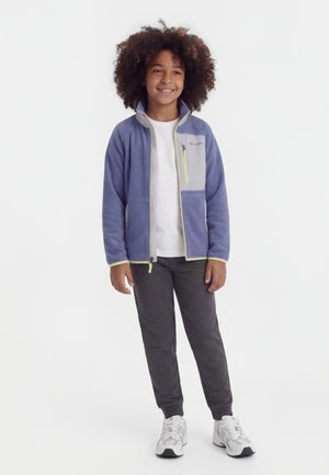 Columbia Fleecejacke - stormwatch/lavender pearl