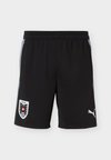 AUSTRIA ÖFB TRAINING SHORTS POCKETS - Ένδυση εθνικής ομάδας - black/filtered ash