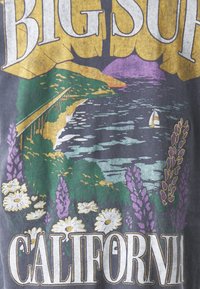 Graphic t-shirt featuring "Big Sur, California" text in yellow and white, with a scenic illustration of the coastline, flowers, and a sailboat.