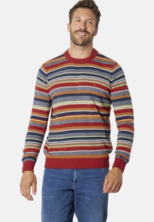 Mann trägt mehrfarbigen horizontal gestreiften Pullover mit rotem Kragen und Manschetten, kombiniert mit blauer Jeans, steht vor einfachem Hintergrund.