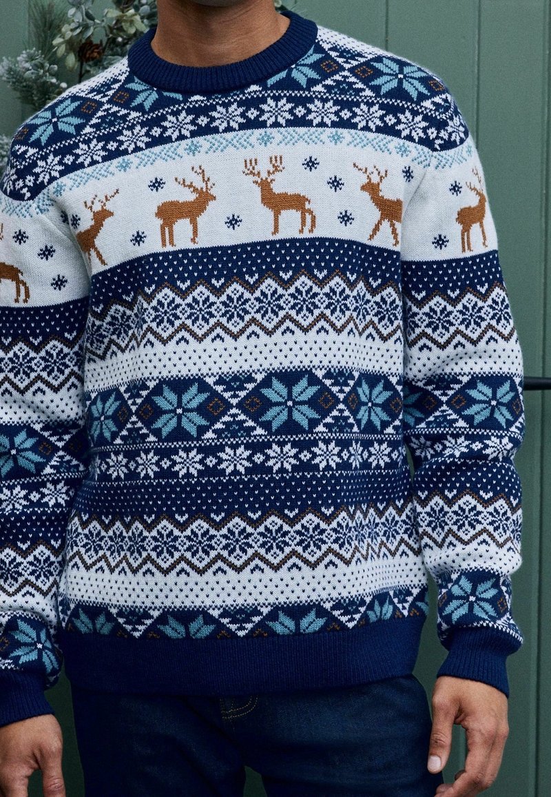 Pull de Noël bleu marine et blanc avec des motifs de rennes et de flocons de neige porté par une personne debout devant un fond vert.