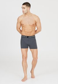Grijze boxershorts met een zwarte tailleband met het merk "ENDURANCE". Zachte stof, aansluitend ontwerp en middellange lengte voor comfort en ondersteuning.