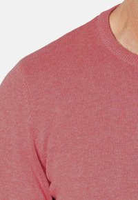 Suéter de cuello redondo de color rojo claro, con canalé y una sutileza en la textura, de silueta ajustada. Sin patrones ni logotipos visibles. Acabado de tela suave.