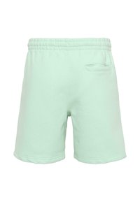 Světle mátově zelené teplákové kraťasy s elastickým pasem a zadní kapsou. Vyrobené z měkké látky s hladkou texturou a zakončené lemováním.