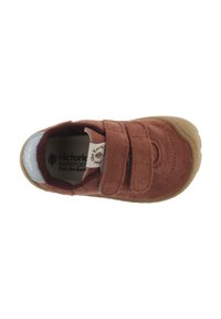 Victoria Shoes BOSCO BAREFOOT LOW - Scarpe primi passi - terra