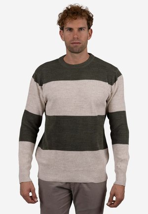 CUELLO CAJA RAYAS HORIZONTALES  - Jersey de punto - green