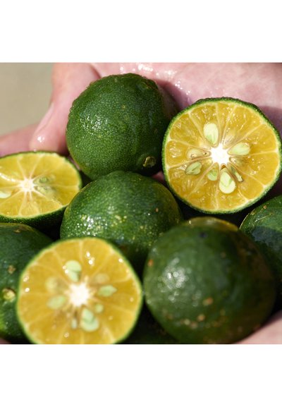 Imagen principal 7, Ampliar