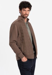 Bruine jas met gevoerde voorpanelen, gebreid textuur op de mouwen en hoge kraag, gedragen over een lichtgroen shirt en donkere jeans.