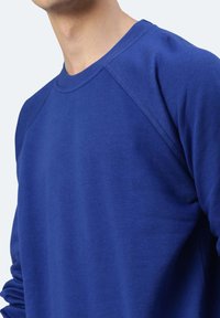 Felpa blu a girocollo realizzata in tessuto morbido con colletto a coste, caratterizzata da maniche raglan e una superficie liscia. Nessun motivo o accentuazione presente.
