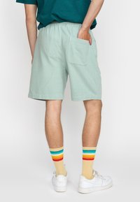 Lichtgroene shorts met een elastische tailleband, achterzak, gecombineerd met crèmekleurige sokken met kleurrijke horizontale strepen en witte sneakers.