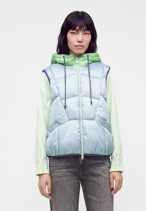 Junge Frau mit glatten dunklen Haaren, die eine hellblaue gesteppte Weste mit grüner Kapuze und ein hellgrünes Langarmshirt trägt, steht vor weißem Hintergrund.