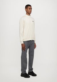 EA7 Emporio Armani TRAIN CORE - Cipzáras pulóver - whitecap gray