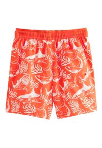 Non selezionato, coral red shark