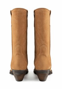 Bottes western en suede marron avec une forme effilée, présentant des motifs de couture complexes et un talon empilé. La vue arrière montre une texture douce et un design.