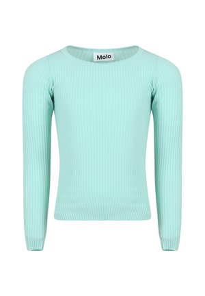 Mintfärgad ribbad långärmad topp med rund halsringning. Slät textur och kroppsnära passform. Varumärkesetiketten "Molo" vid halsen.