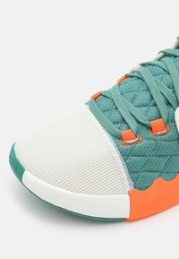 Nike Performance Obuwie do koszykówki