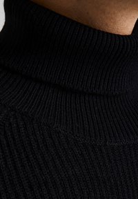 Jack & Jones JJPANNEL ROLL NECK - Maglione - black