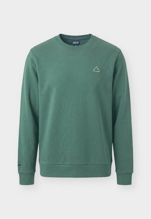 Patagonia, FITZ ROY MASSIF DAILY CREW - Mikina - canopy green
